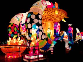 秦淮河上看花灯