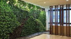 办公室内使用仿真植物墙真的好吗?