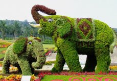 绿雕制作的步骤都有哪些