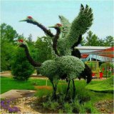 植物雕塑在生活中都有哪些作用