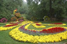 超颜值绿雕立体花坛亮相各大公园创“深圳之最”