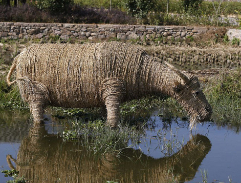 ���ﵾ�ݹ���Ʒ