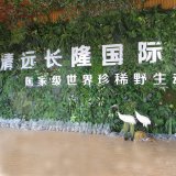 为什么要在城市制作大面积的仿真植物墙?