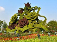 苏州金鸡湖景区绿雕项目